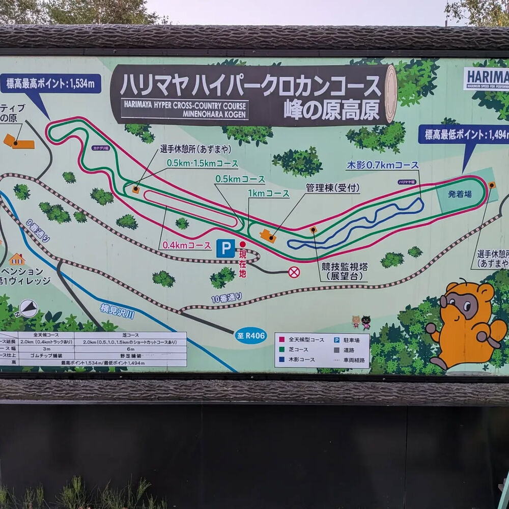 ブログ画像